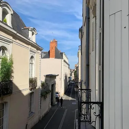 Daire Elegencia-t2 De Charme-hyper Centre-fibre