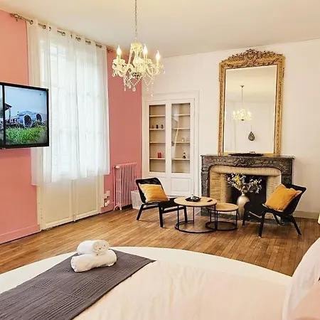 Elegencia-t2 De Charme-hyper Centre-fibre Apartment *